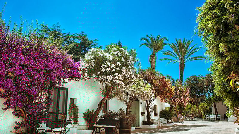Masseria Il Frantoio 1
