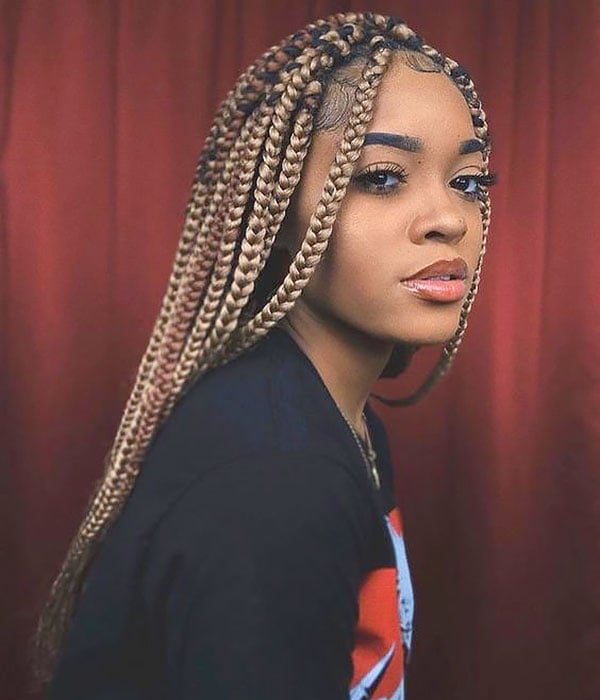 20 Delightful Braids for Mixed Girls 2023 Guide  Hairstyle Camp