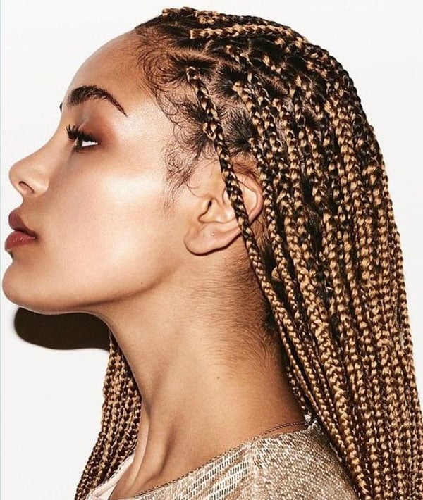 30 Best Braided Hairstyles For Women In 2021 The Trend Spotter