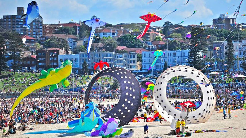 Festival Of The Winds
