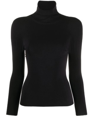 Fitted Turtle Neck Top