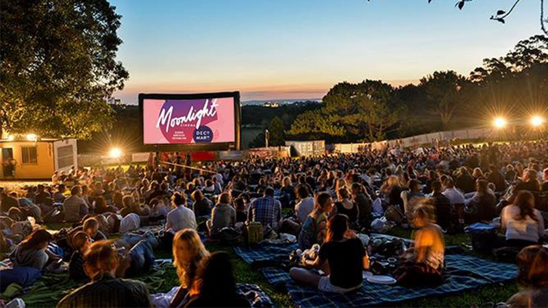 Moonlight Cinema
