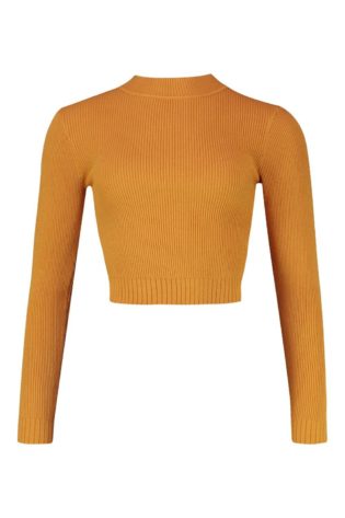 Turtle Neck Knitted Crop Top