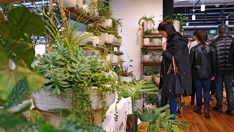 The Makers Nest