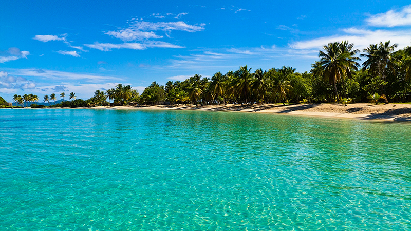 St. Vincent And The Grenadines