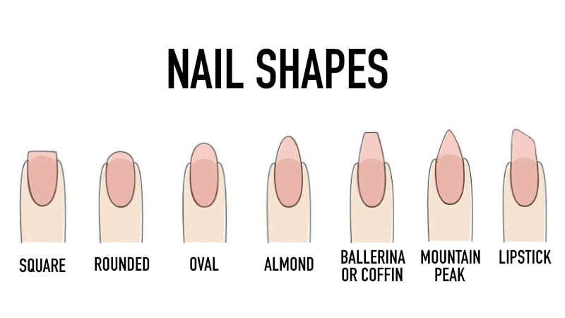 Nail Shapes