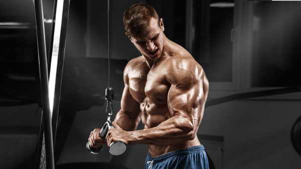 5 Best Tricep Exercises & Workout for Strong Arms - The Trend Spotter