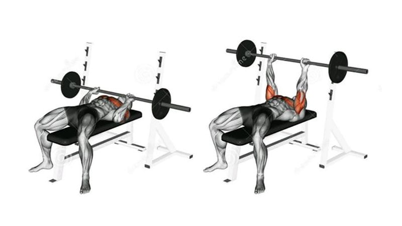 Close Grip Bench Press