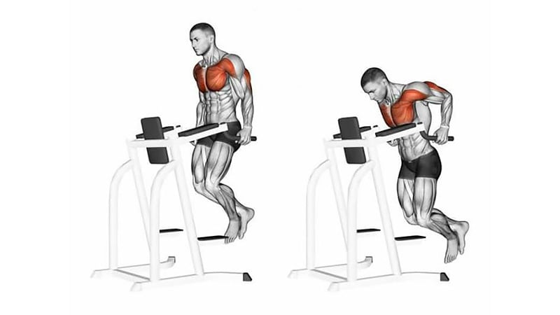 Triceps Dip