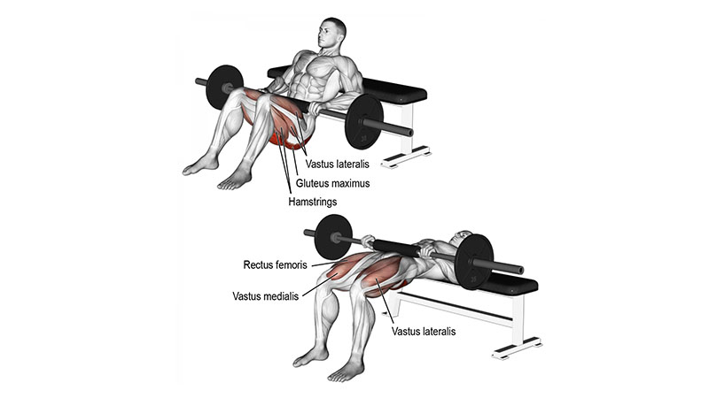 Barbell Hip Thrust