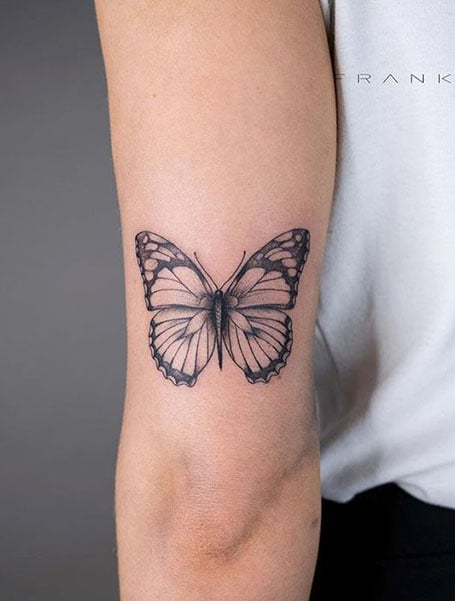 Monarch butterfly tattooed on the rib illustrative