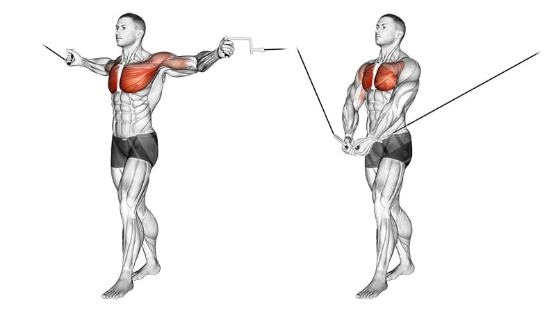 Cable Pulldown