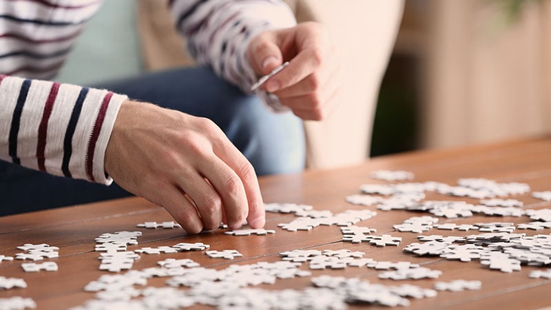 Puzzle Solving Man Hobby