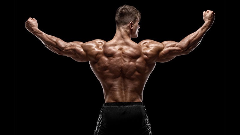 Muscular Man Showing Back Muscles, Isolated On Black Background.