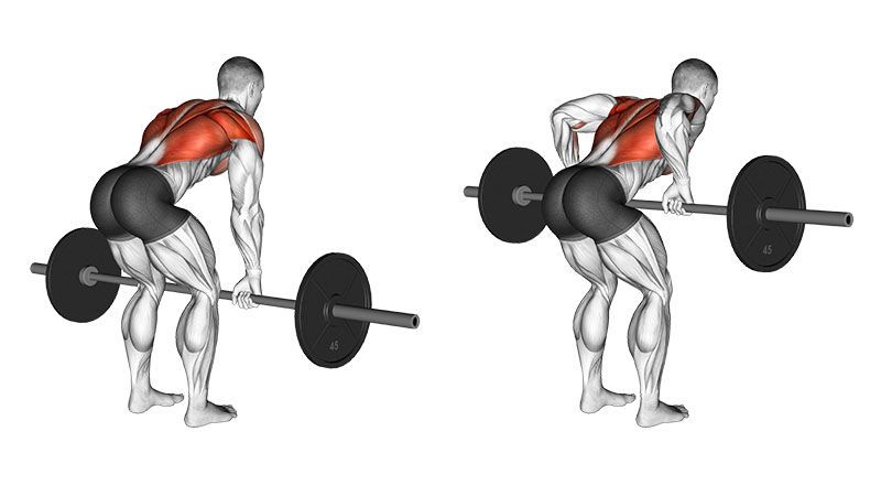 Barbell Dead Rows