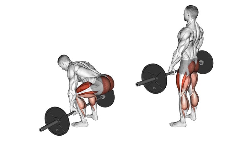 Barbell Deadlift