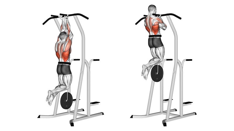 Weighted Chin Lifts