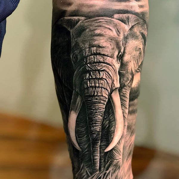 Grey Tree And Elephant Tattoo