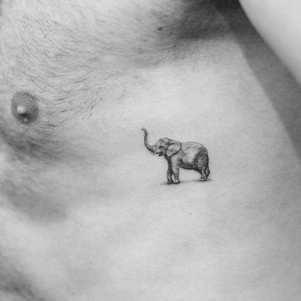 12 Elephant Tattoo Designs for this Week  Pretty Designs