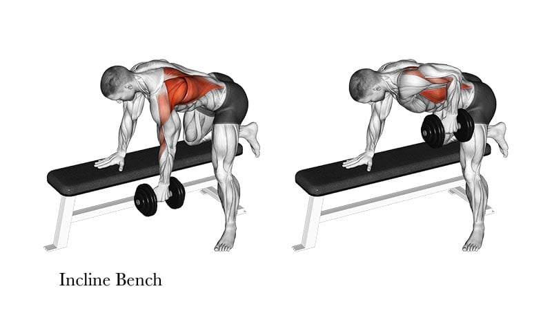 Tripod Dumbbell Rows