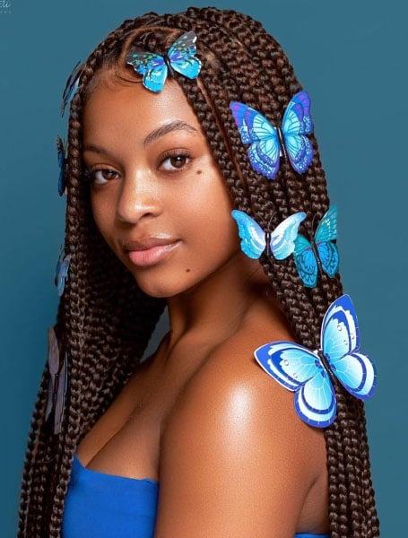 Box Braids With Butterfly Clips
