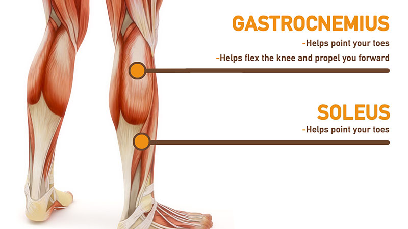 Top Six Exercises For Building Bigger Calves | Issa
