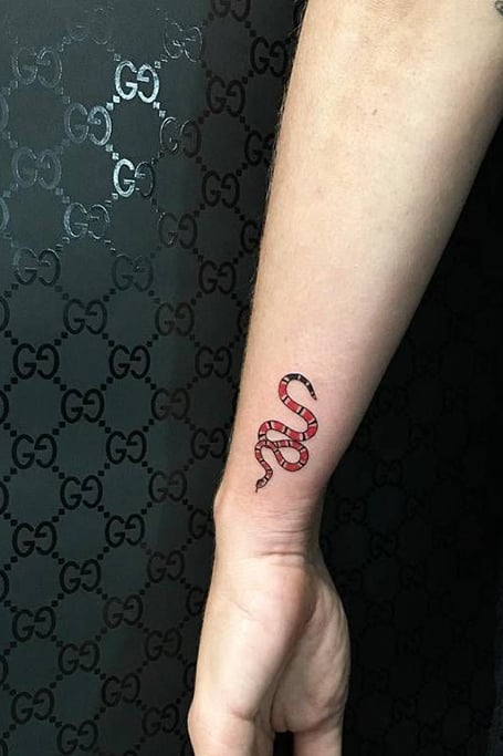 Cute little wraparound snake from a few weeks ago     snaketatt   TikTok