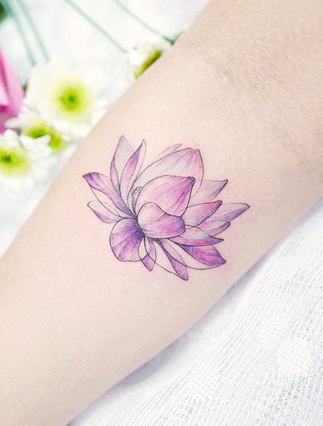 Lotus Flower Purple Tattoo