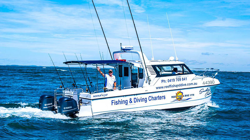 Reef Fishing Charters 1770
