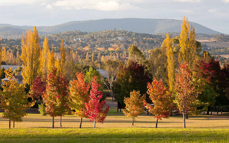 Armidale Nsw
