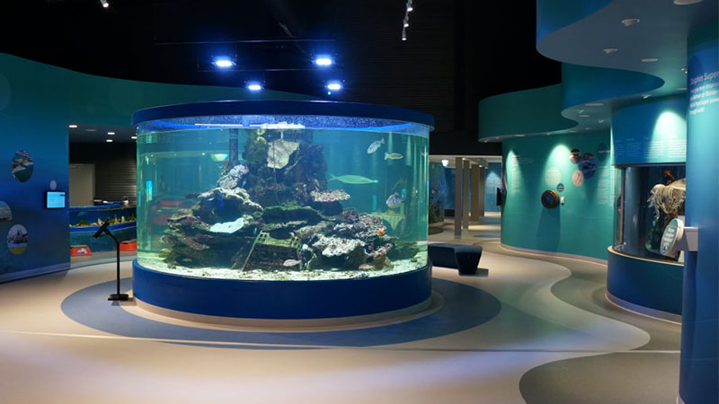 Central Coast Marine Discovery Centre