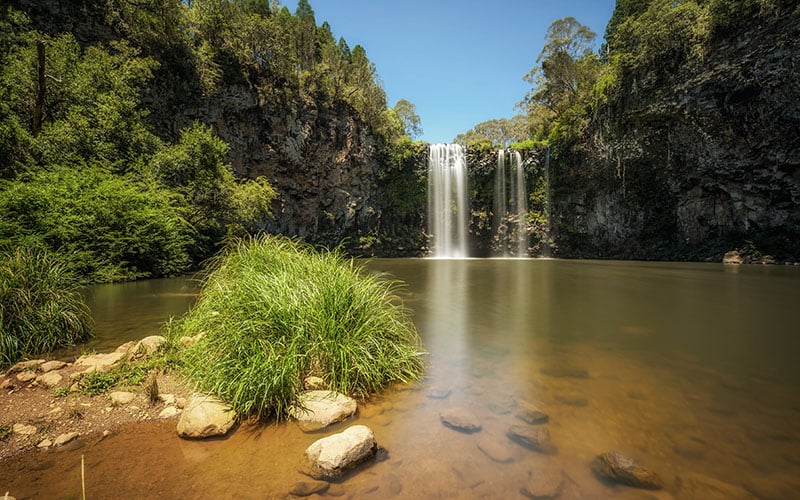 Dangar Falls In The Rainforest Of Dorrigo National Park, Australia