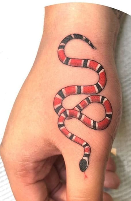 Top 14 Coral Snake Tattoo Ideas  PetPress  Snake tattoo Coral tattoo Snake  tattoo design