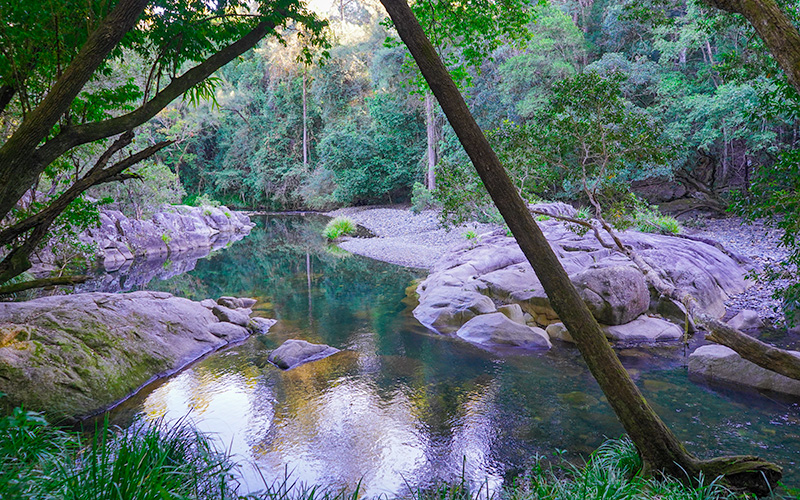 Never Never River Bellingen