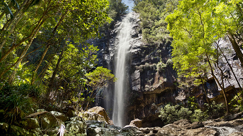 Protesters Falls