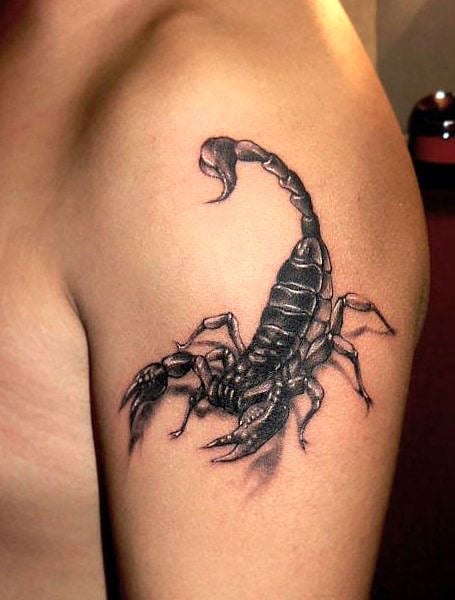 Scorpion Tattoo see the entire process and the amazing result  YouTube
