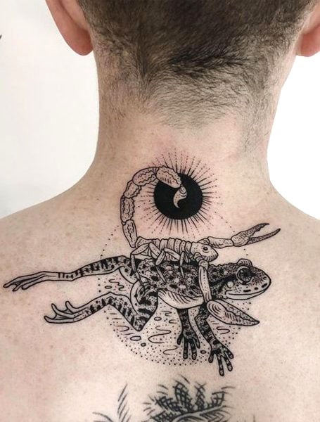 El Escorpión y el Tatuaje de la Rana