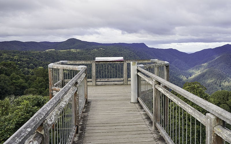 Skywalk At Dorrigo National Park