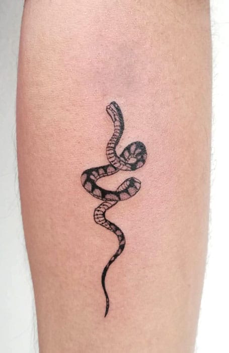 83 Trendy Snake Tattoos For Chest  Tattoo Designs  TattoosBagcom