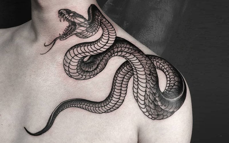 1. Traditional Snake Forearm Tattoo - wide 5