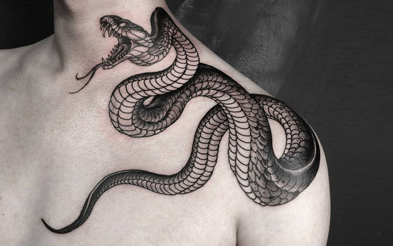 1. Traditional Snake Forearm Tattoo - wide 5