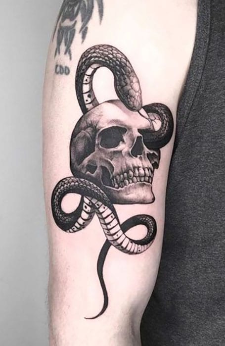 Tattoo uploaded by ssabtattooer  snake skull tattoodo blackandgrey  blackwork koreatattoo mamaink seoultattoo  ssabtattoo  Tattoodo