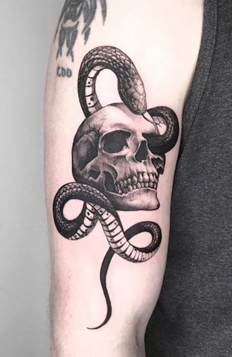 Aggregate 94+ about skull and snake tattoo super cool .vn Aggregate 94+ about skull and snake tattoo super cool .vn