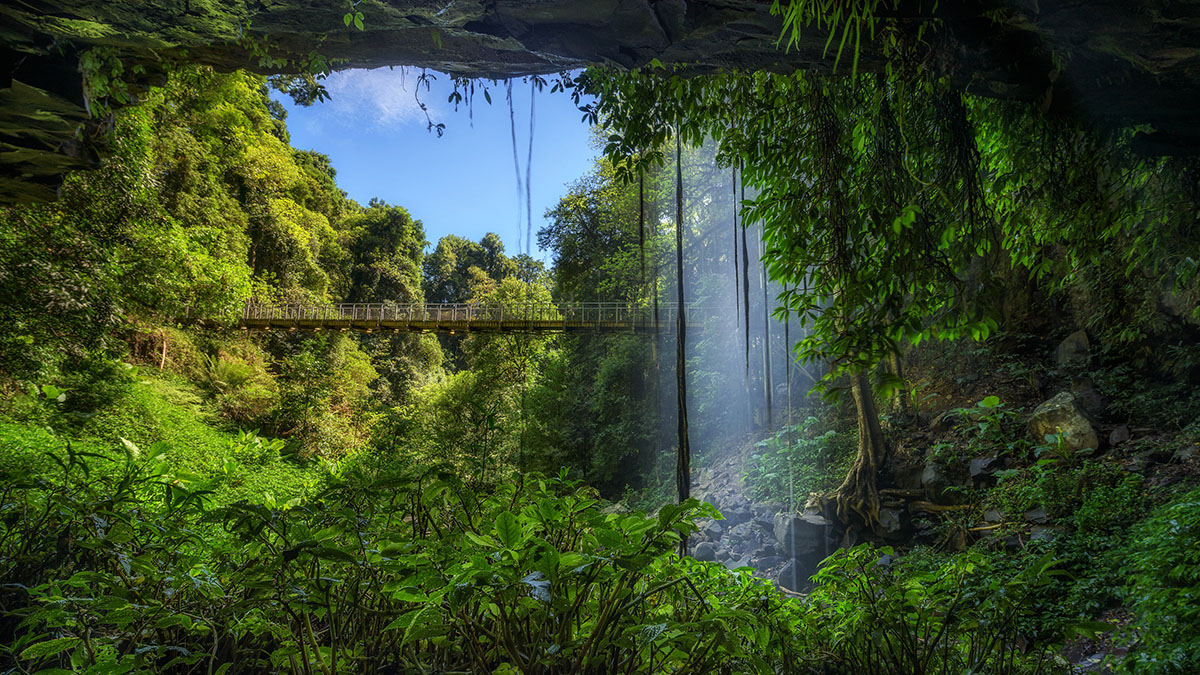 Footbridge And Crystal Falls In The Rainforest Of Dorrigo Natio
