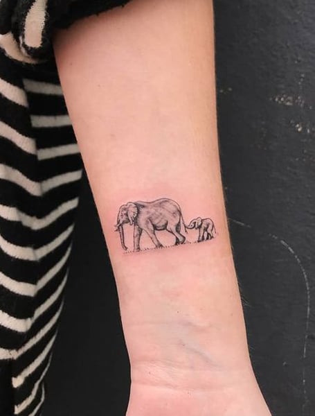 Elephant tattoo with juniper and Indian paintbrush done by Keisha at  Millennium Gallery of Living Art in Fort Collins Colorado  rtattoo