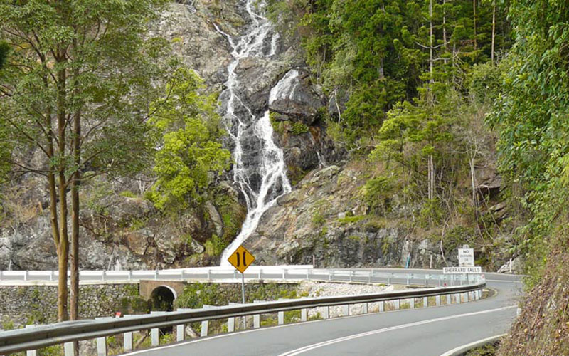 Waterwall Way Scenic Drive, Dorrigo National Park