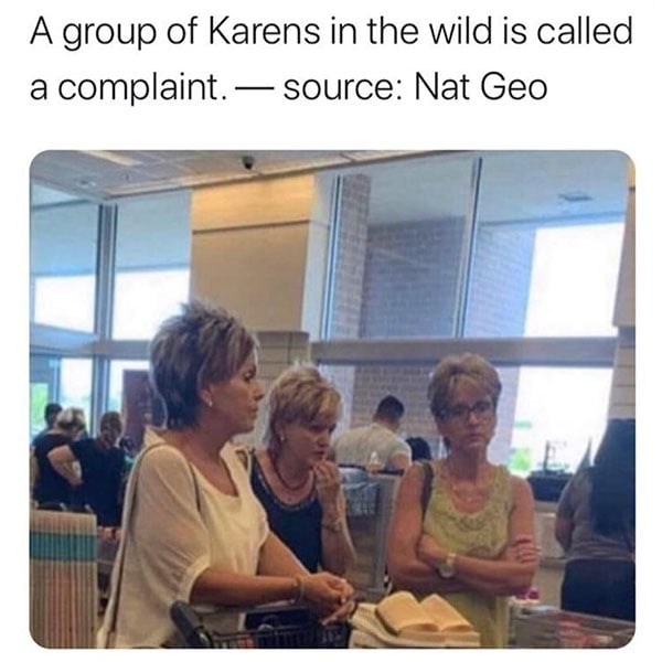 Group Of Karens Meme