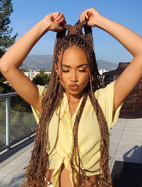 Featured image of post Black And Honey Blonde Knotless Braids