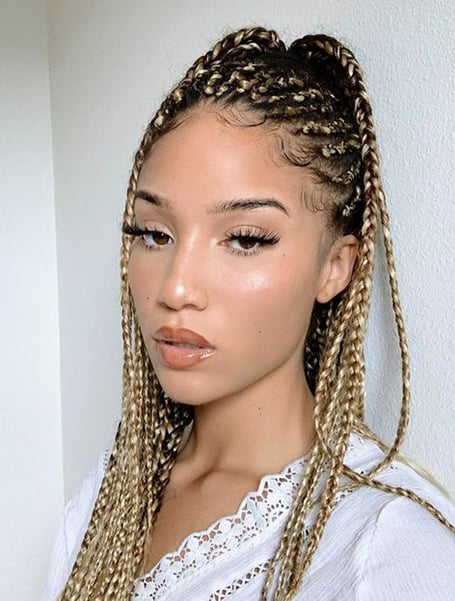 Featured image of post Box Braids Knotless With Curls