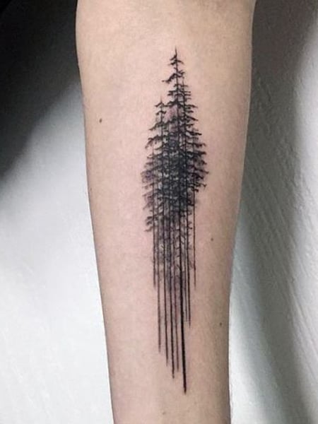 A better shot of my first major tattoo Evergreen tree done by Khalid at  Area 51 in Crystal Lake IL  rtattoos